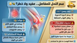 فوائد دهان سم النحل للمفاصل والعظام: هل هو بديل طبيعي للمسكنات؟ (2025) | سنارة