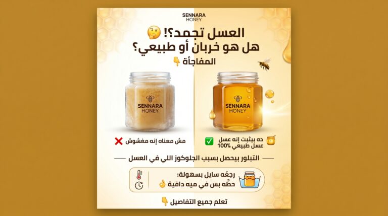 لماذا يتبلور العسل ويتجمد - الحقيقة العلمية من سنارة