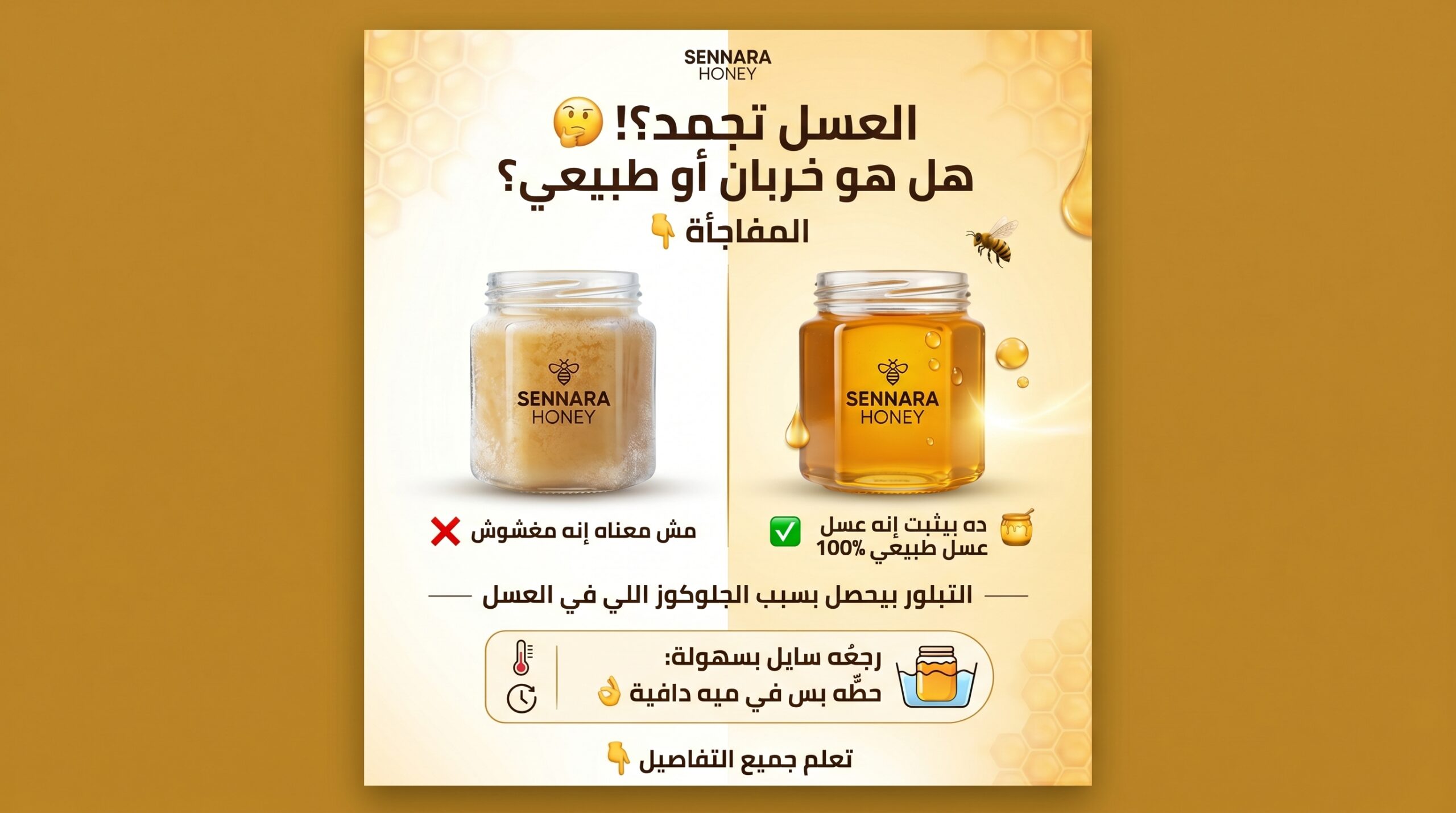 لماذا يتبلور العسل ويتجمد - الحقيقة العلمية من سنارة